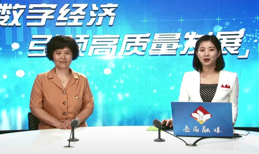 数字经济引领高质量发展电视专访——王朝晖