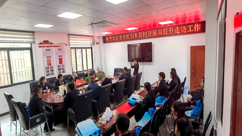 安庆市中级人民法院、岳西县人民法院到东营村开展双提升走访工作