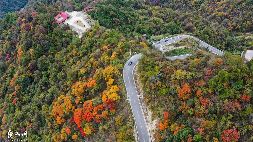 【飞阅岳西】天妙公路赏红叶