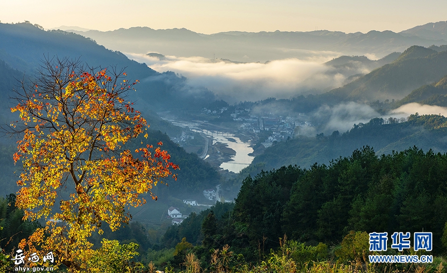 新华网：岳西初冬至，山川秋未尽