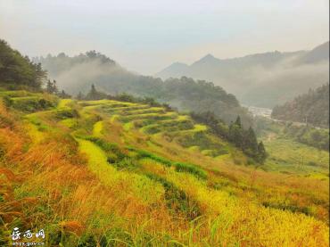 头陀镇：荒田变美景，村民笑开颜