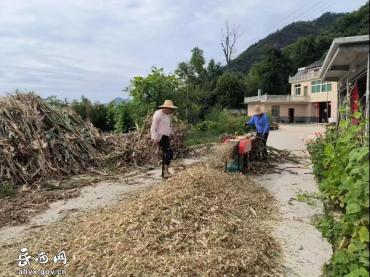 头陀镇：延续秸秆“新生命”民生工程促增收