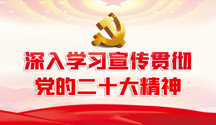 深入学习宣传贯彻党的二十大精神专题